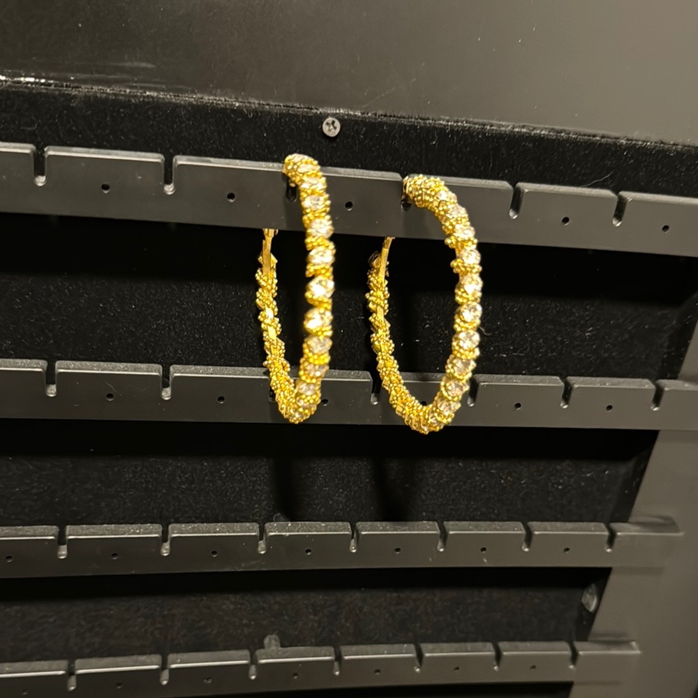Elegant Gold Hoop Earrings